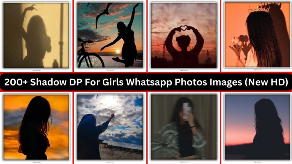 200+ Shadow Dp For Girls Whatsapp Photos Images (new Hd)