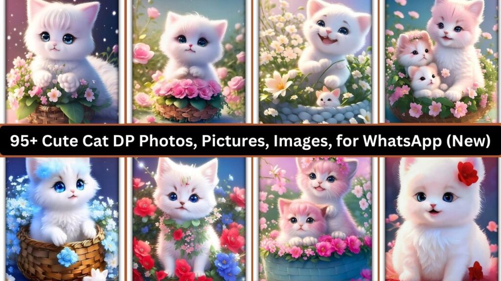 95+ Cute Cat Dp Photos, Pictures, Images, For Whatsapp (new 2023)